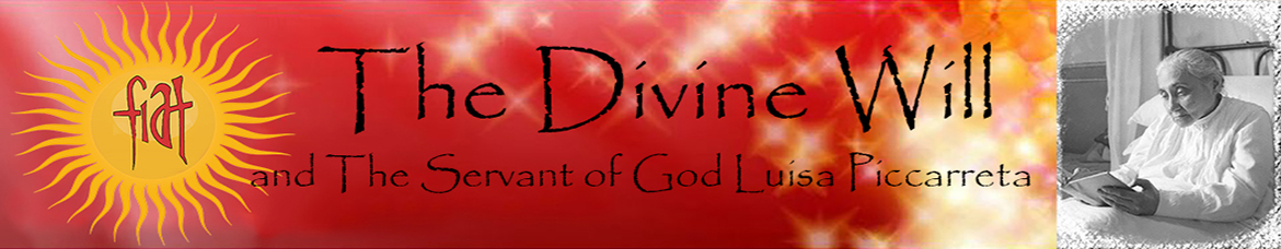 The Divine Will